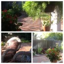 Three pic garden photo